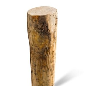 Duurzaam Hout Kastanje 4M. Ø 12/14