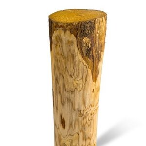 Duurzaam Hout Kastanje 4M. Ø 14/16