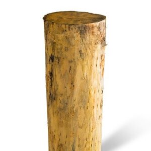 Duurzaam Hout Kastanje 5M. Ã˜ 16/18