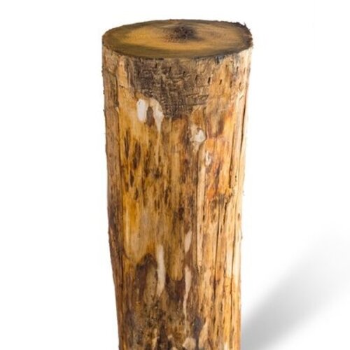 Duurzaam Hout Kastanje 3M. Ø 20/25 Duurzaam Hout Kastanje 3M. Ø 20/25
