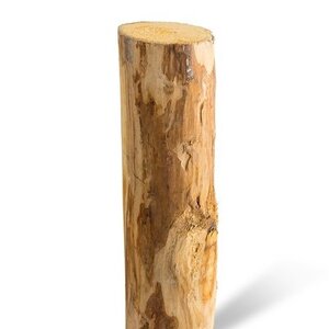 Duurzaam Hout Kastanje 3M. Ã˜ 10/12