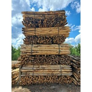 Duurzaam Hout Kastanje 3M. Ã˜ 08/10