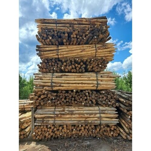 Duurzaam Hout Kastanje 3M. Ø 08/10 Duurzaam Hout Kastanje 3M. Ø 08/10