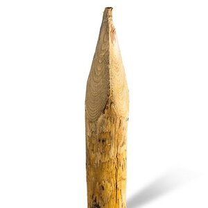 Duurzaam Hout Kastanje 2,5M. Ã˜ 15/17