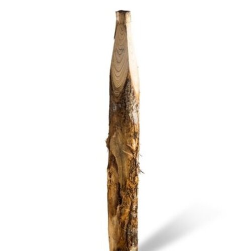 Duurzaam Hout Kastanje 2,5M. Ø 10/12 Duurzaam Hout Kastanje 2,5M. Ø 10/12