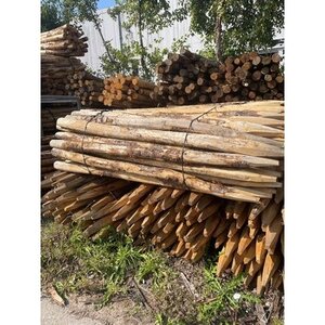 Duurzaam Hout Kastanje 2M. Ã˜ 08/10