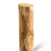 Kastanje 2M. Ø 10/12