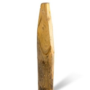 Duurzaam Hout Kastanje 2,3M. Ã˜ 08/10