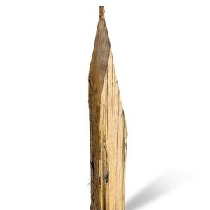 Duurzaam Hout Kastanje 2,5M. Ã˜ 06/12