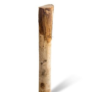 Duurzaam Hout Kastanje 2,5M. Ø 08/10