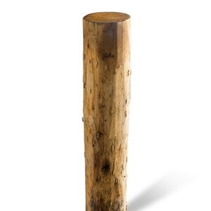 Duurzaam Hout Kastanje 2,5M. Ã˜ 08/10