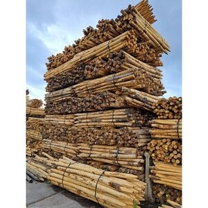 Duurzaam Hout Kastanje 2,5M. Ã˜ 08/10