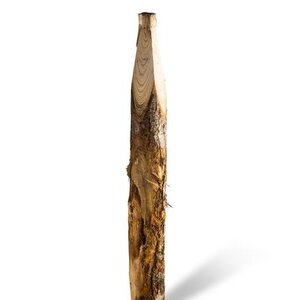 Duurzaam Hout Kastanje 2,5M. Ø 06/08