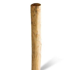 Duurzaam Hout Kastanje 2,5M. Ø 04/06
