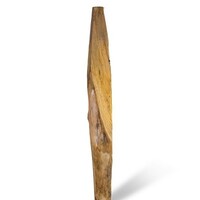 Kastanje 2M. Ø 12/14