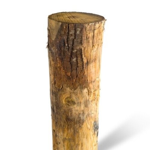 Duurzaam Hout Kastanje 1,6M. Ø 18/20 Duurzaam Hout Kastanje 1,6M. Ø 18/20
