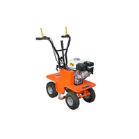 Graszodensnijder benzine