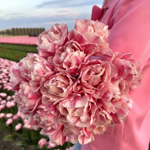 Fam. Flower Farm Bloembol - Quinty Trustfull Fam. Flower Farm Bloembol - Quinty Trustfull
