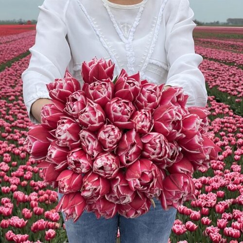 Fam. Flower Farm Bloembol - Columbus Fam. Flower Farm Bloembol - Columbus
