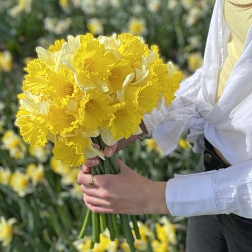 Fam. Flower Farm Fam. Flower Farm - Bloembol - Stadium Fam. Flower Farm Fam. Flower Farm - Bloembol - Stadium