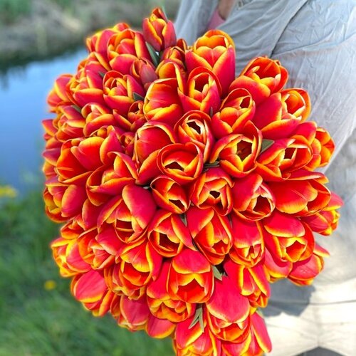 Fam. Flower Farm Bloembol - Choice Fam. Flower Farm Bloembol - Choice