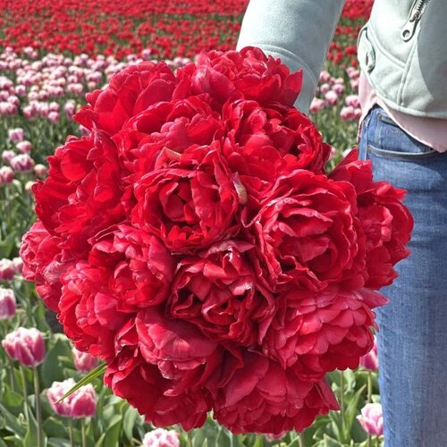Fam. Flower Farm Bloembol - Double Twist Fam. Flower Farm Bloembol - Double Twist