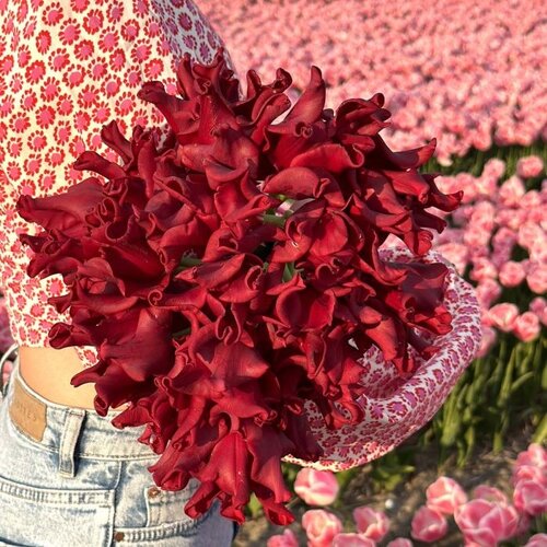 Fam. Flower Farm Bloembol - Red Dress Fam. Flower Farm Bloembol - Red Dress