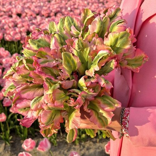Fam. Flower Farm Bloembol - Green Wave Fam. Flower Farm Bloembol - Green Wave