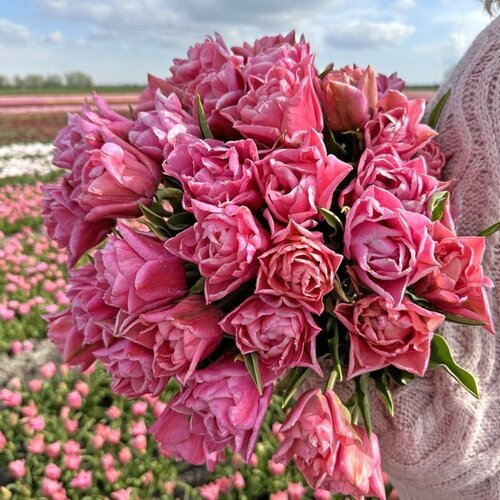 Fam. Flower Farm Fam. Flower Farm - Bloembol - Touchstone