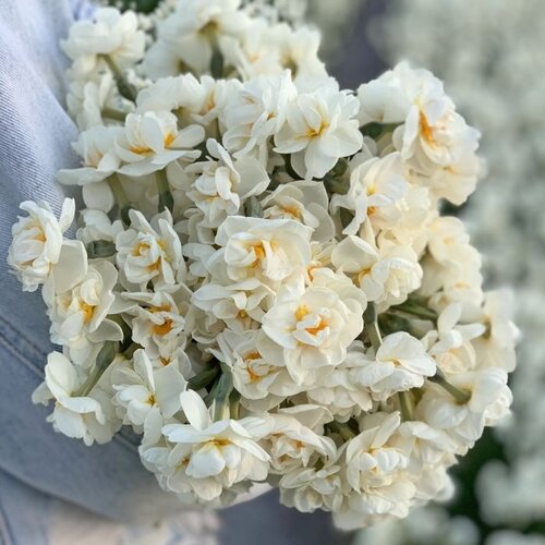 Fam. Flower Farm Fam. Flower Farm - Bloembol - Mix Favorite