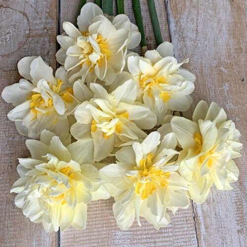 Fam. Flower Farm Fam. Flower Farm - Bloembol - Mix Creamy