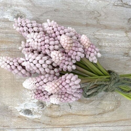 Fam. Flower Farm Fam. Flower Farm - Bloembol - Muscari Pink Sunrise