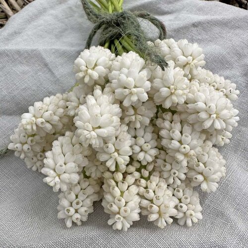 Fam. Flower Farm Fam. Flower Farm - Bloembol - Muscari White Magic