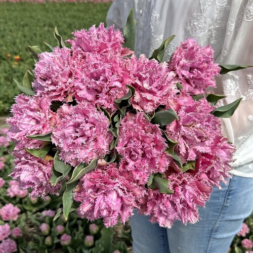 Fam. Flower Farm Fam. Flower Farm - Bloembol - Mix Cotton Candy