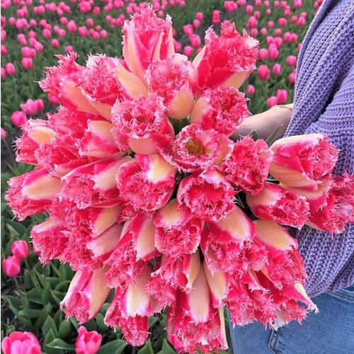 Fam. Flower Farm Fam. Flower Farm - Bloembol - Mix Passion