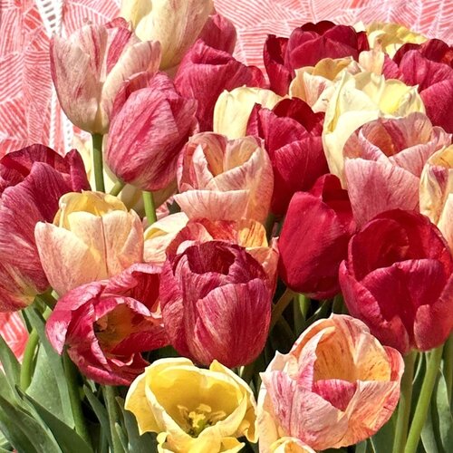 Fam. Flower Farm Fam. Flower Farm - Bloembol - Mix Dark Romance