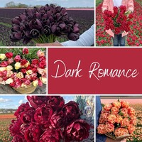 Mix Dark Romance