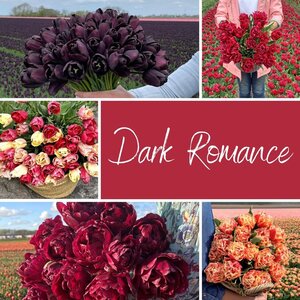 Fam. Flower Farm Mix Dark Romance