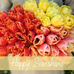 Fam. Flower Farm Mix Happy Sunshine