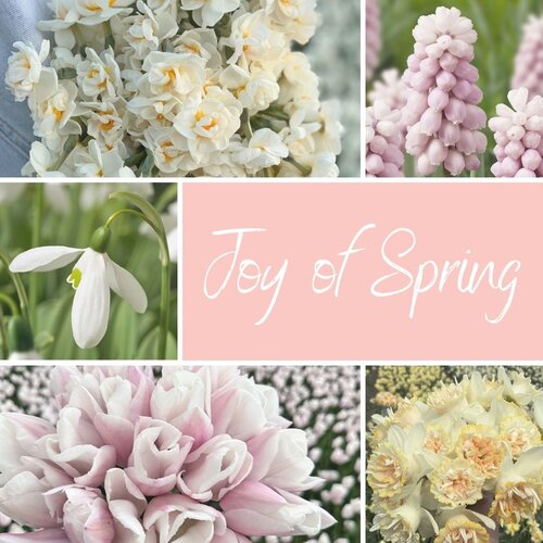 Fam. Flower Farm Mix Joy of Spring Fam. Flower Farm Mix Joy of Spring