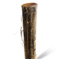 Robinia 4M. Ø 10/12