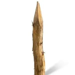 Duurzaam Hout Robinia 1M. Ã˜ 10/12