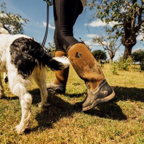 Muckboot Muckboot - Arctic Adventure Zwart/Bruin - Dames