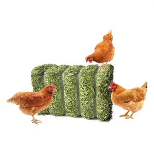 AgruniekRijnvallei BIO Luzerne 20kg. AgruniekRijnvallei BIO Luzerne 20kg.