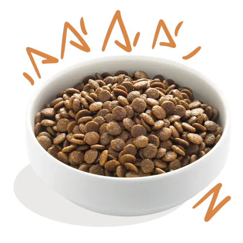 Edgard & Cooper Edgard & Cooper - Verse Scharrelkip - Hondenbrok Edgard & Cooper Edgard & Cooper - Verse Scharrelkip - Hondenbrok