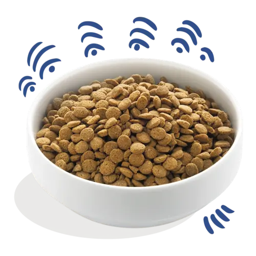 Edgard & Cooper Edgard & Cooper - Verse Noorse Zalm - Hondenbrok