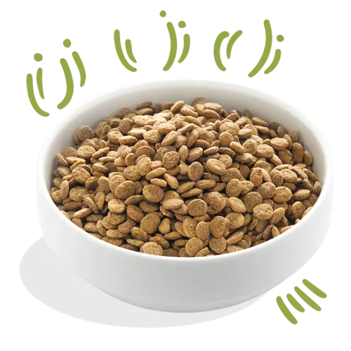 Edgard & Cooper Edgard & Cooper - Vers Gras Gevoerd Lam - Hondenbrok