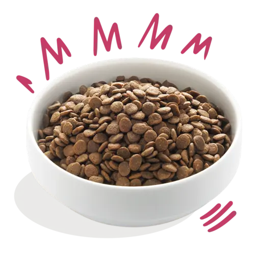 Edgard & Cooper Edgard & Cooper - Vers Hert & Scharreleend - Hondenbrok Edgard & Cooper Edgard & Cooper - Vers Hert & Scharreleend - Hondenbrok