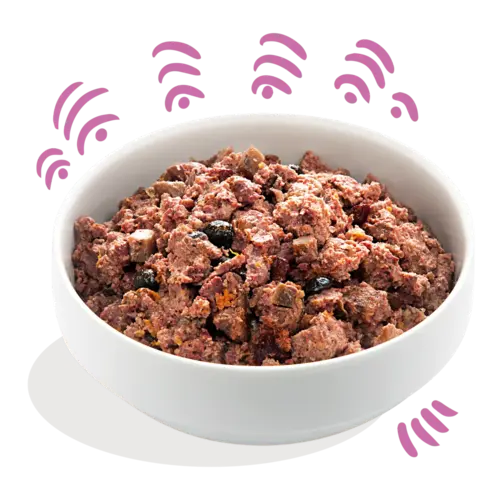 Edgard & Cooper Edgard & Cooper - Wild & Eend - Natvoer