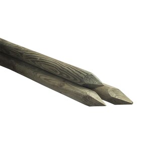 Duurzaam Hout Celfix 100 / 6